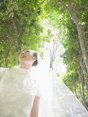 高学歴のあなたに最適な結婚相談所の選び方と成功事例