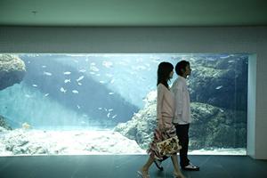 名古屋での結婚にピッタリの結婚指輪