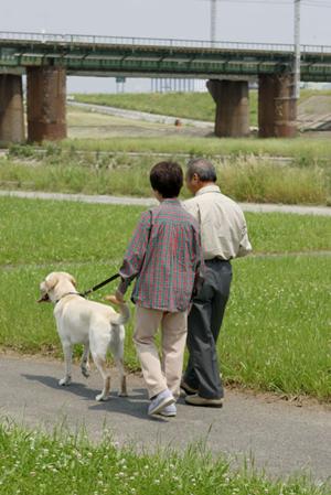 今大注目の婚活のツールがあります