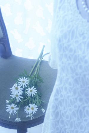 理想の相手が見つかる結婚相談所